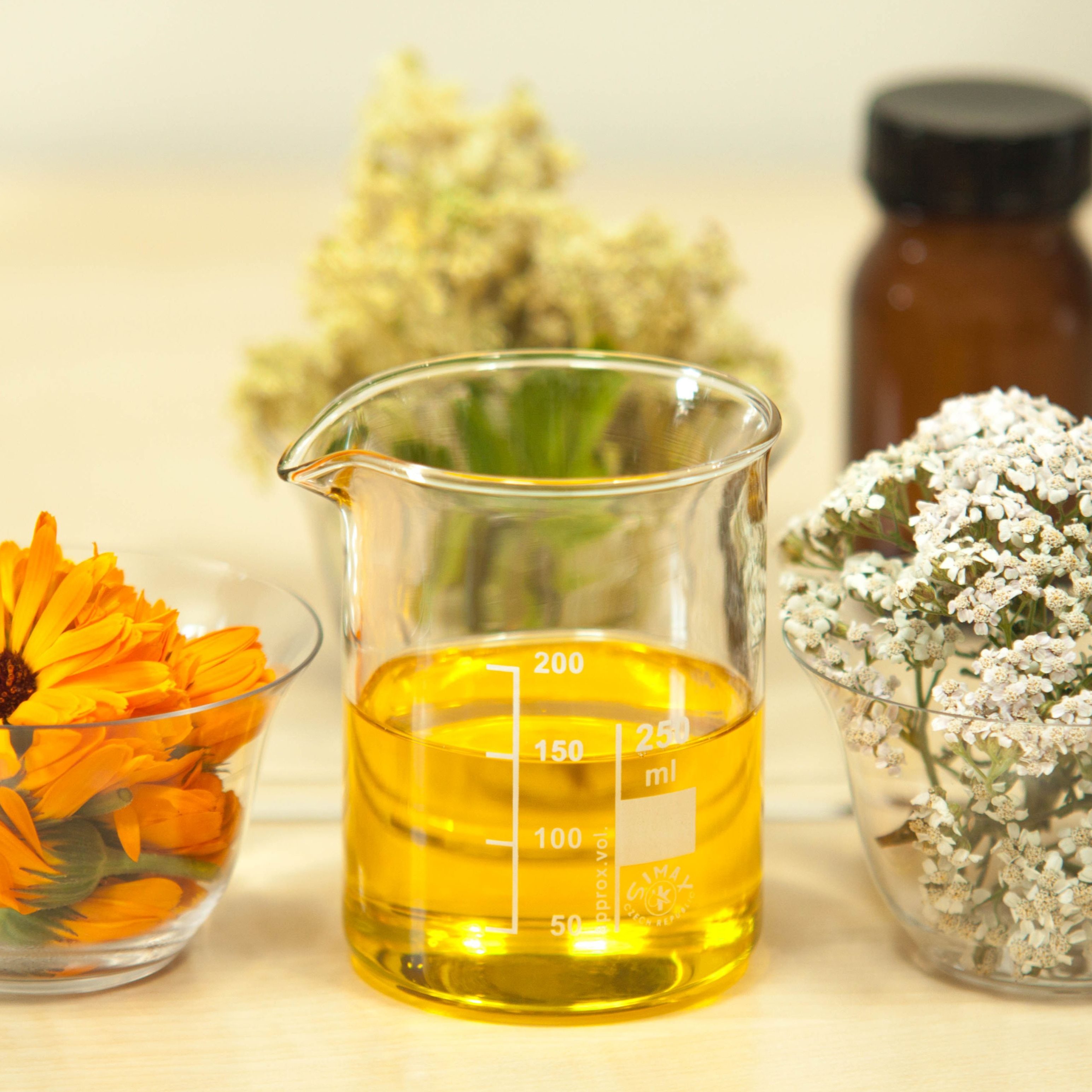 Phytotherapie